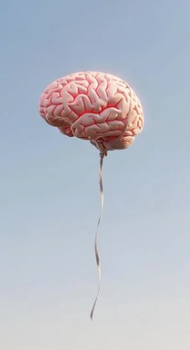 Image de l'article La méditation et le cerveau